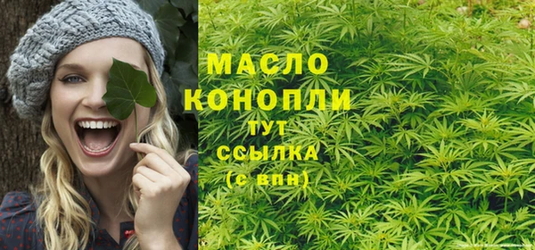 прущий лед Арсеньев