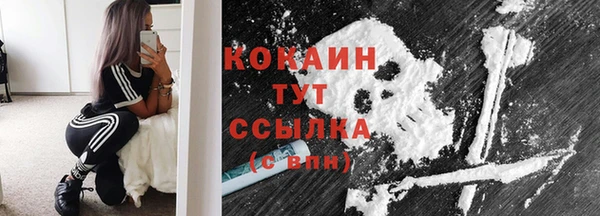 прущий лед Арсеньев