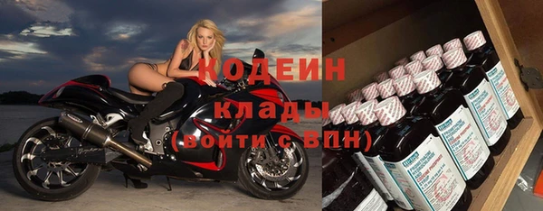 прущий лед Арсеньев