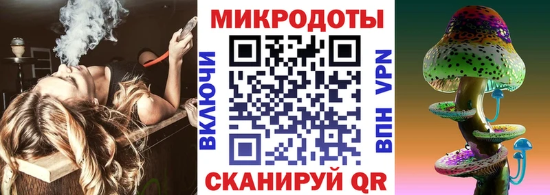 Псилоцибиновые грибы Psilocybine cubensis Калязин